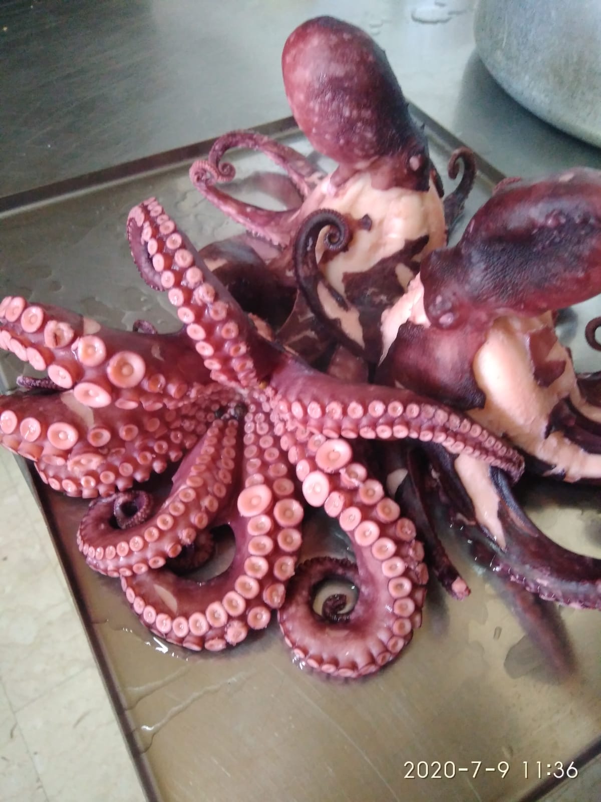 Preparazione insalata di mare